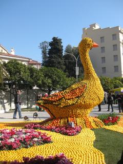 IMG_4429.jpg