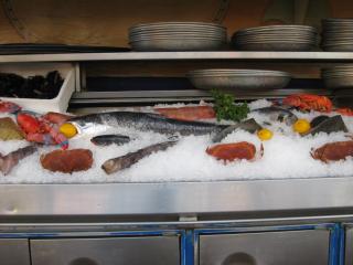 IMG_3809.JPG
