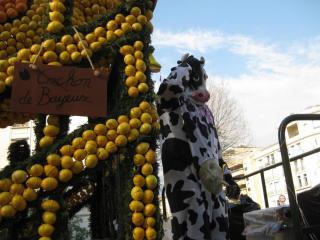 IMG_4439.JPG