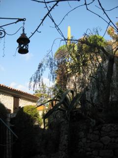 IMG_4364.jpg
