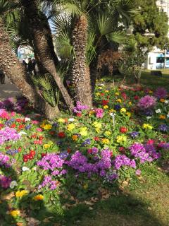 IMG_3772.jpg