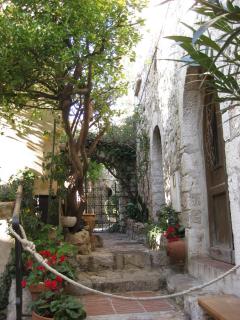 IMG_4373.jpg