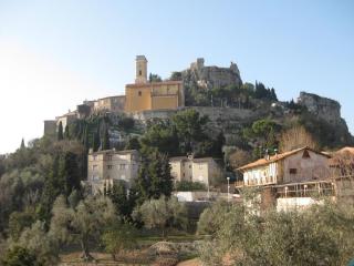 IMG_4351.JPG
