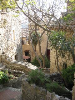 IMG_4374.jpg