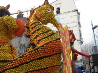 IMG_4492.JPG