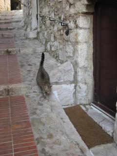 IMG_4358.jpg