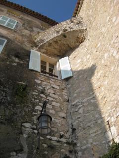 IMG_4382.jpg