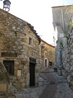 IMG_4356.jpg