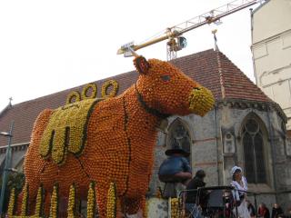 IMG_4510.JPG