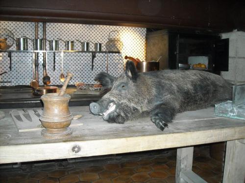 Изображение 519.jpg