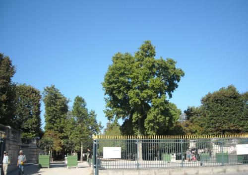 Изображение 372.jpg