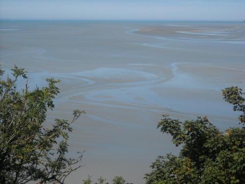 Изображение 038.jpg