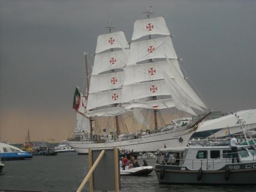 Изображение 382.jpg