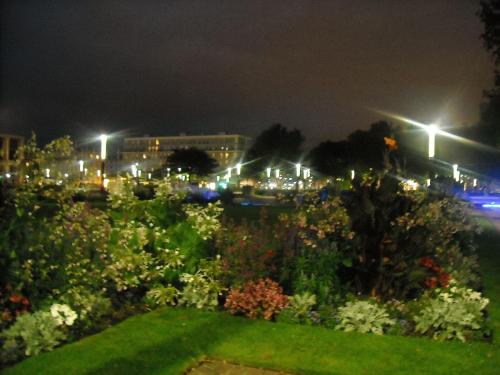 Изображение 023.jpg