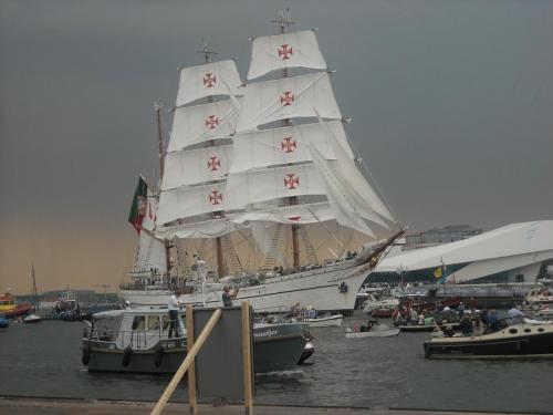 Изображение 381.jpg