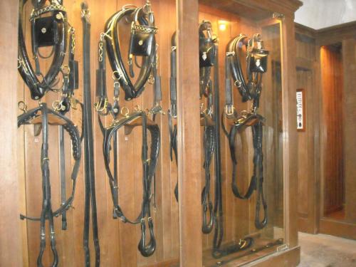 Изображение 431.jpg