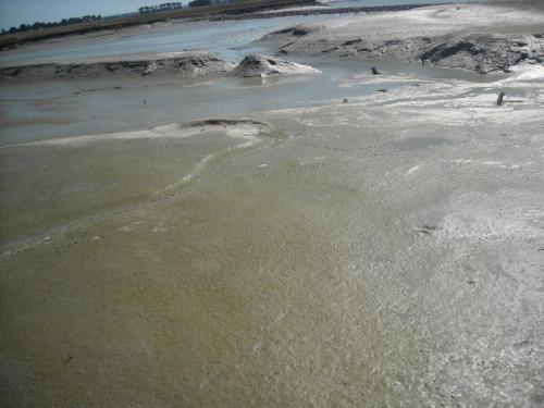 Изображение 069.jpg