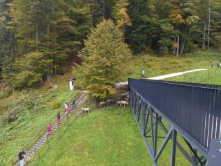 DSCN1582.JPG