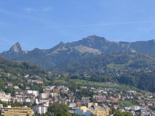 IMG_7832.jpg