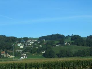 IMG_7653.jpg