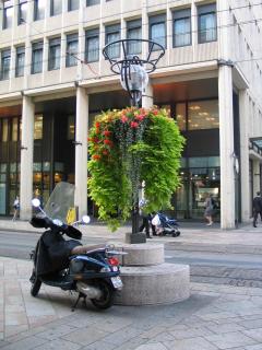 IMG_7887.jpg