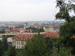IMG_6964.jpg