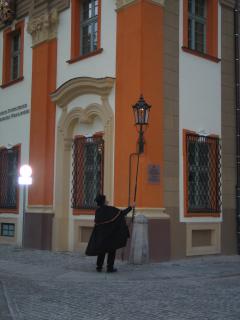 Фонарщик за работой_6841.jpg
