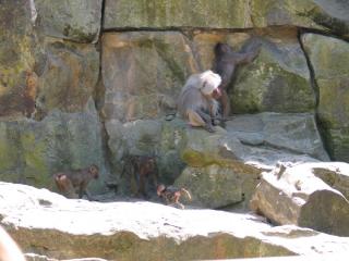 IMG_2281.jpg