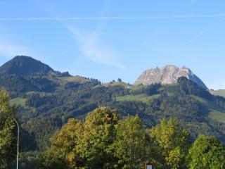 IMG_7659.jpg
