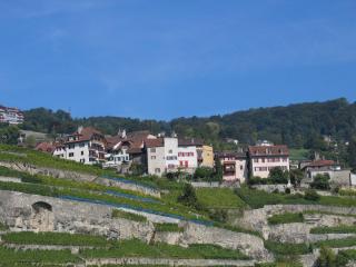 IMG_7848.jpg