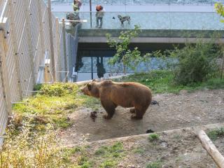 IMG_7577.jpg