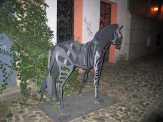 IMG_6870.jpg