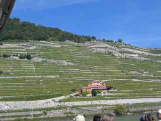 IMG_7850.jpg