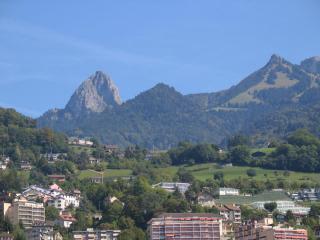 IMG_7828.jpg
