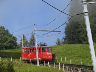IMG_8027.jpg