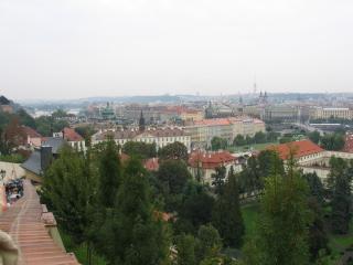 IMG_6963.jpg