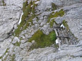 IMG_7992.jpg