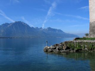 IMG_7735.jpg