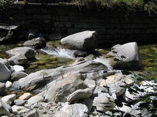 IMG_9291.JPG