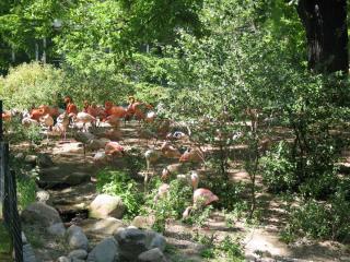 IMG_2290.jpg