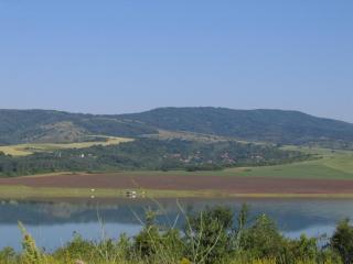 IMG_9210.JPG
