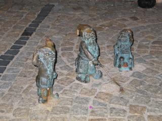 IMG_6882.jpg