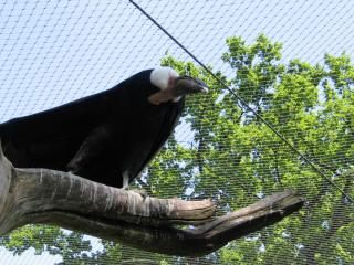 IMG_2324.jpg