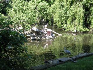 IMG_2278.jpg