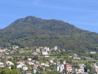 IMG_7830.jpg