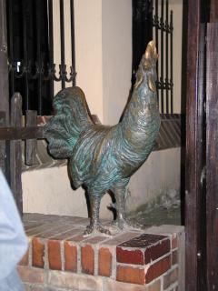 IMG_6868.jpg