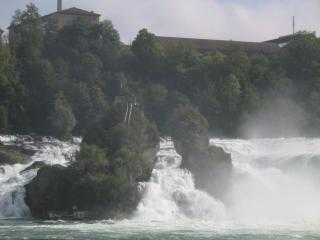 IMG_7493.jpg