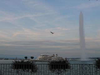 IMG_7902.jpg