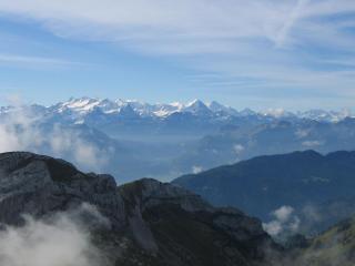 IMG_7959.jpg