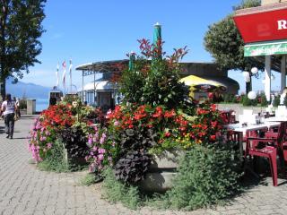 IMG_7784.jpg